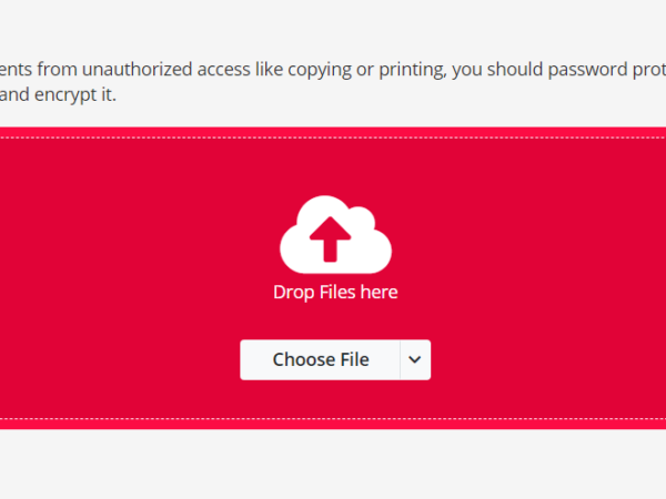 Protecting PDF Documents From Unauthorized Access