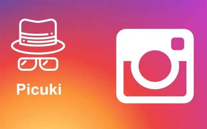 What is Picuki for Instagram: Is it Safe and Anonymous?