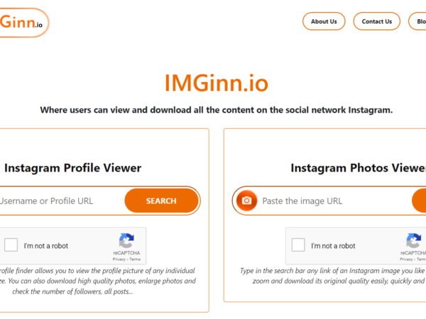 Imginn – Best Anonymous Instagram Viewers