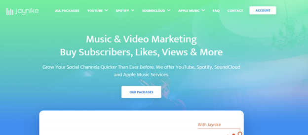 JayNike.com Reviewed: Navigating Paid Social Media Strategies