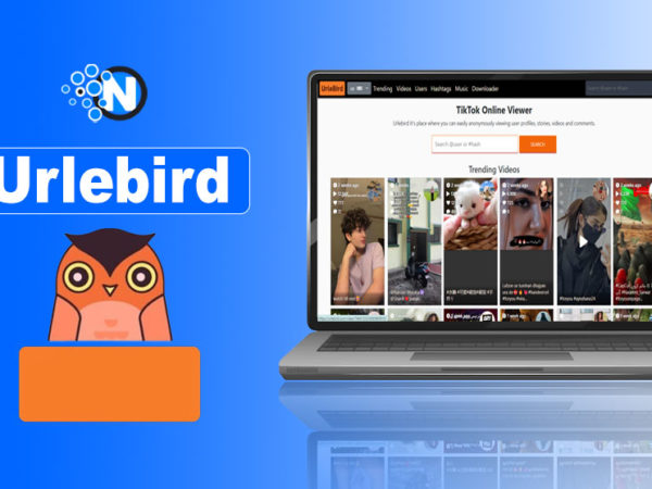 Urlebird – Best Anonymous Tiktok Profile, Video Viewer & Alternatives