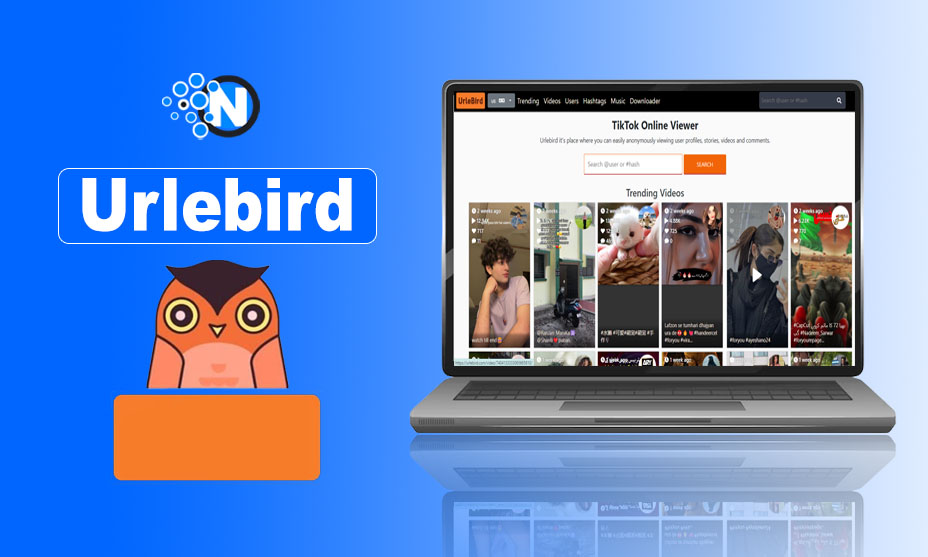 Urlebird – Best Anonymous Tiktok Profile, Video Viewer & Alternatives