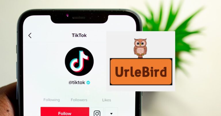 How to Use Urlebird?