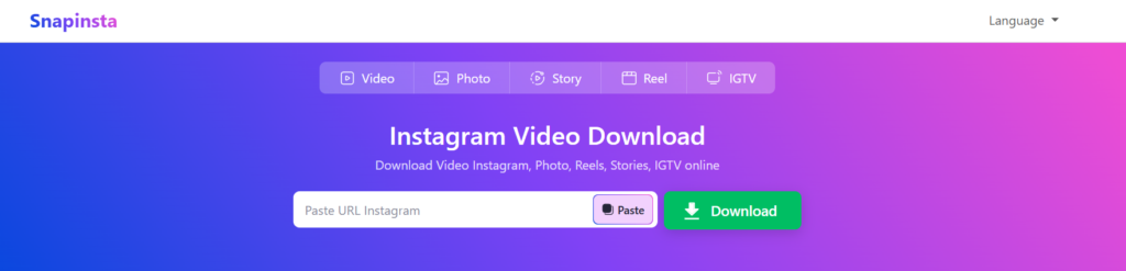 How to Use SnapInsta for Instagram Video Downloads