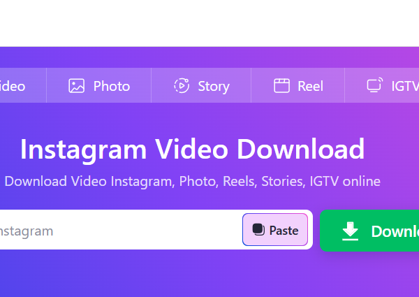 Guide to SnapInsta: The Premier Instagram Video Download Tool