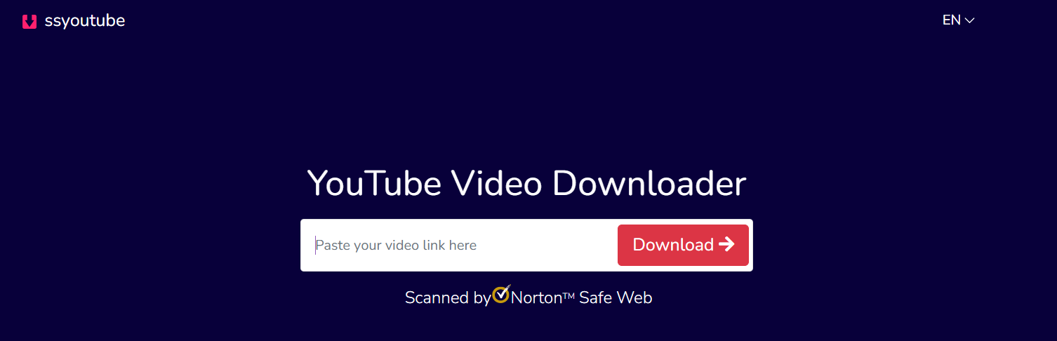 SsYouTube -The Best Online YouTube Video Downloader 2025